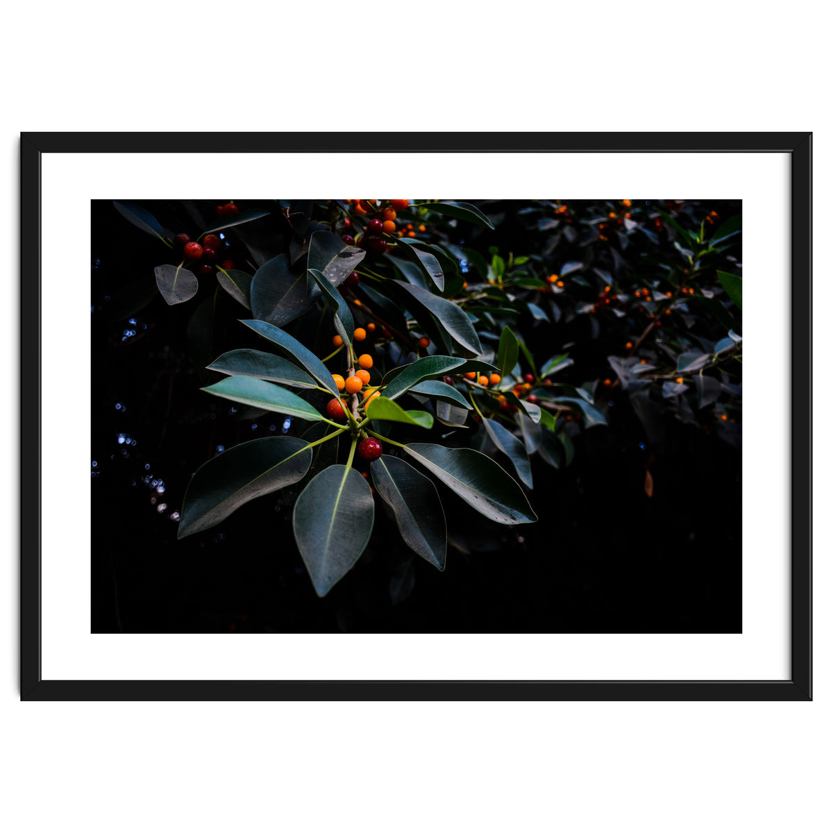 Orange, Green and Dark