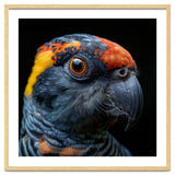 Close Up Of A Colorful Parrot Bird's Head thumbnail