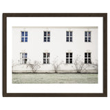 Small trees in between the windows thumbnail
