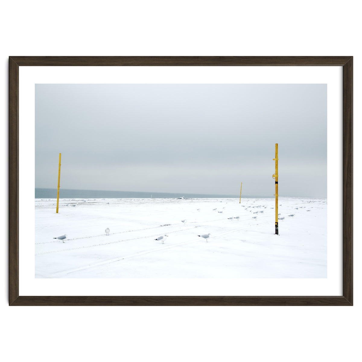 Seagulls in between the volleyball poles in winter snow beach