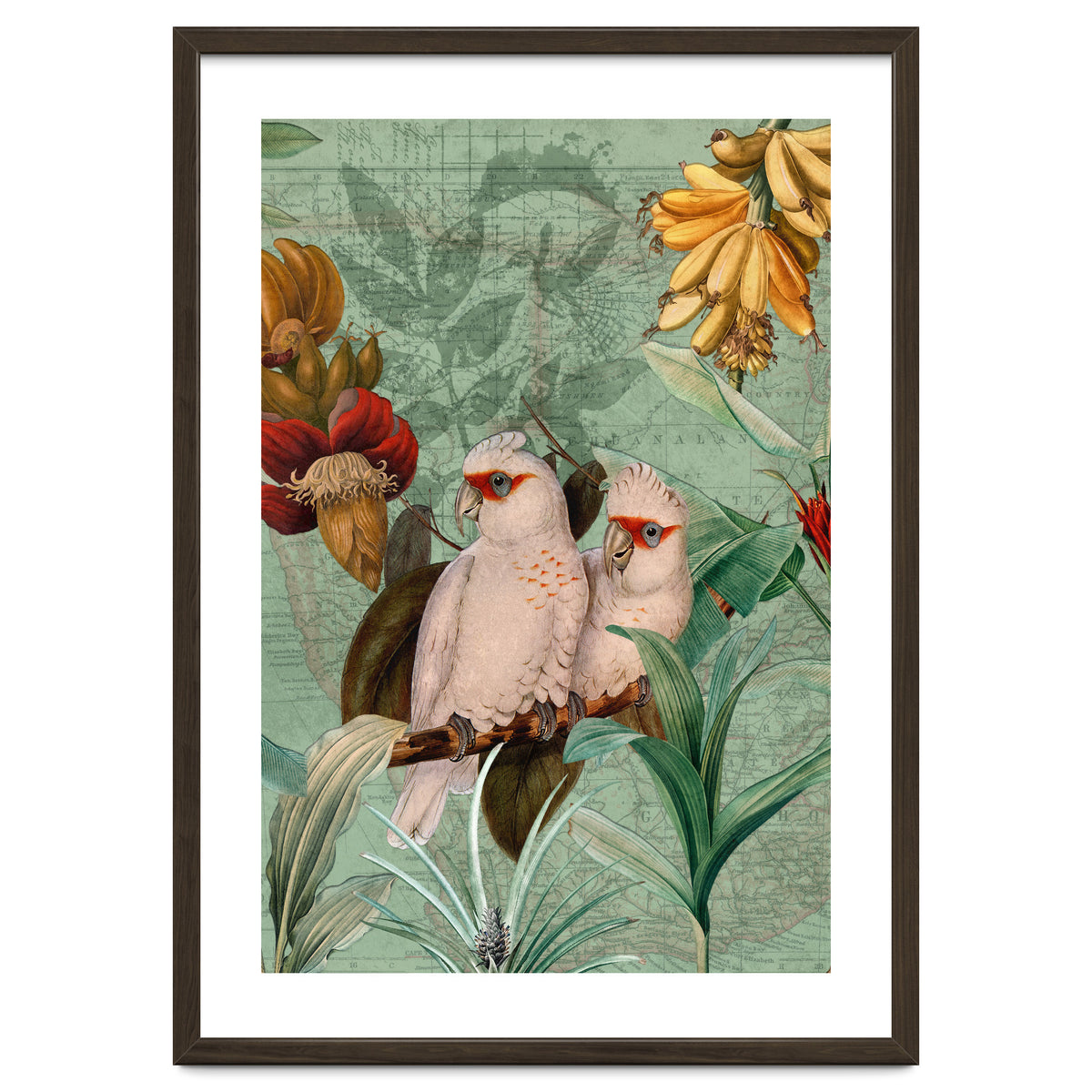 Green Cockatoo Exotic Bird Jungle