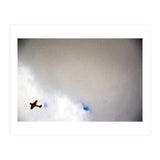 The Little Prince (Print Only) thumbnail