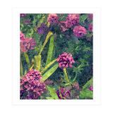 Aliyah (Print Only) thumbnail