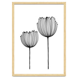 Two wildflowers thumbnail
