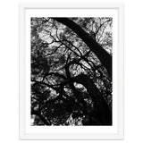 Tree Black Silhouette thumbnail