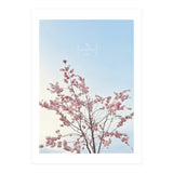 Sakura - cherry blossom (Print Only) thumbnail