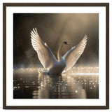 Graceful Swan Spreading Wings On Sparkling Water thumbnail