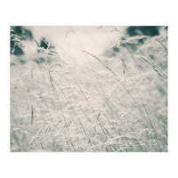 Walking Through Long Grass (Print Only)