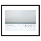 Seagulls in the winter snow beach thumbnail