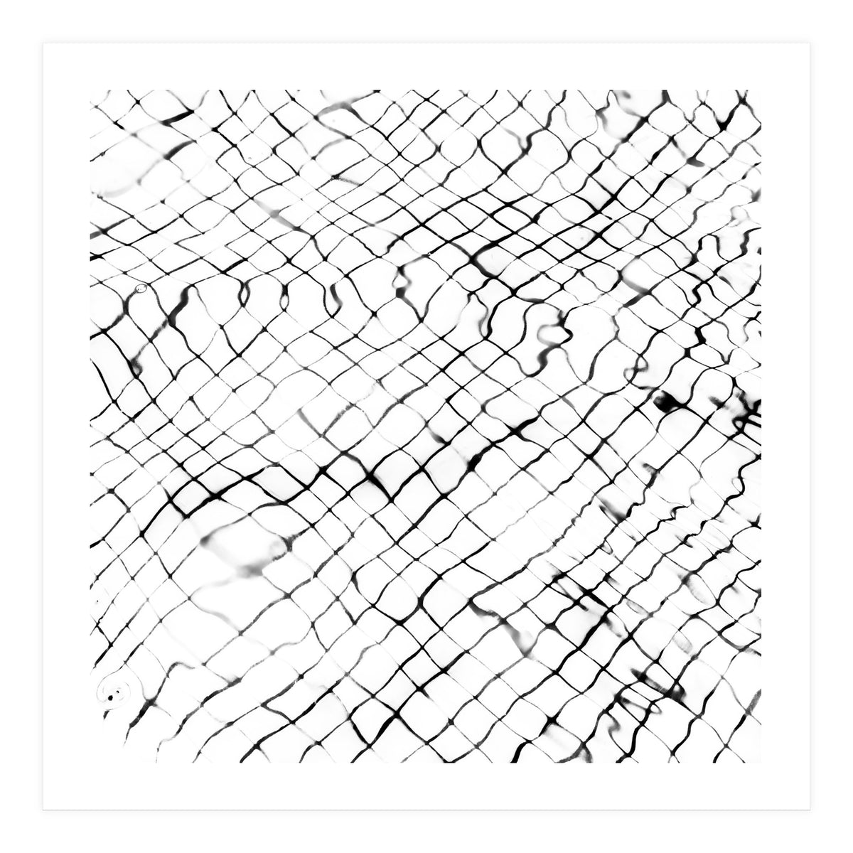 Reflection (Print Only)