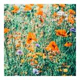 Eva | Nature Floral Meadow Garden | Photography Botanical Spring Bohemian Flowers (Print Only) thumbnail