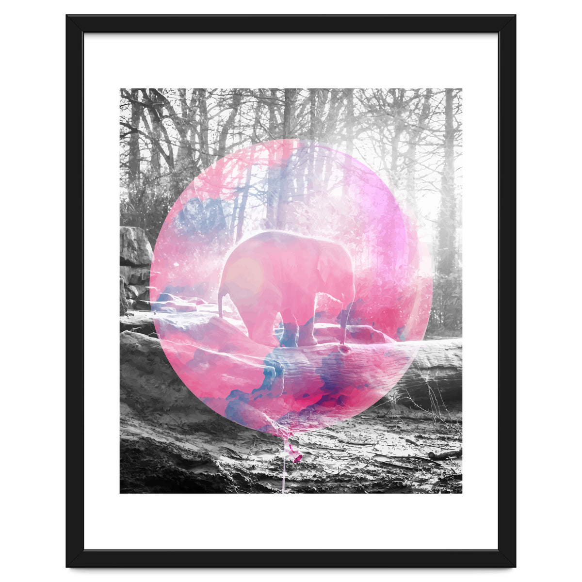 Baby Elephant In A Balloon