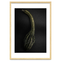 Gourds No 9 Color Version