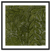 Forest Dense Foliage