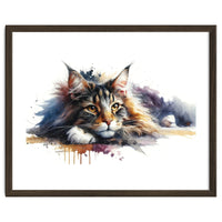 Maine Coon Resting Portrait