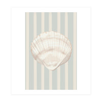 Sea shell (Print Only)
