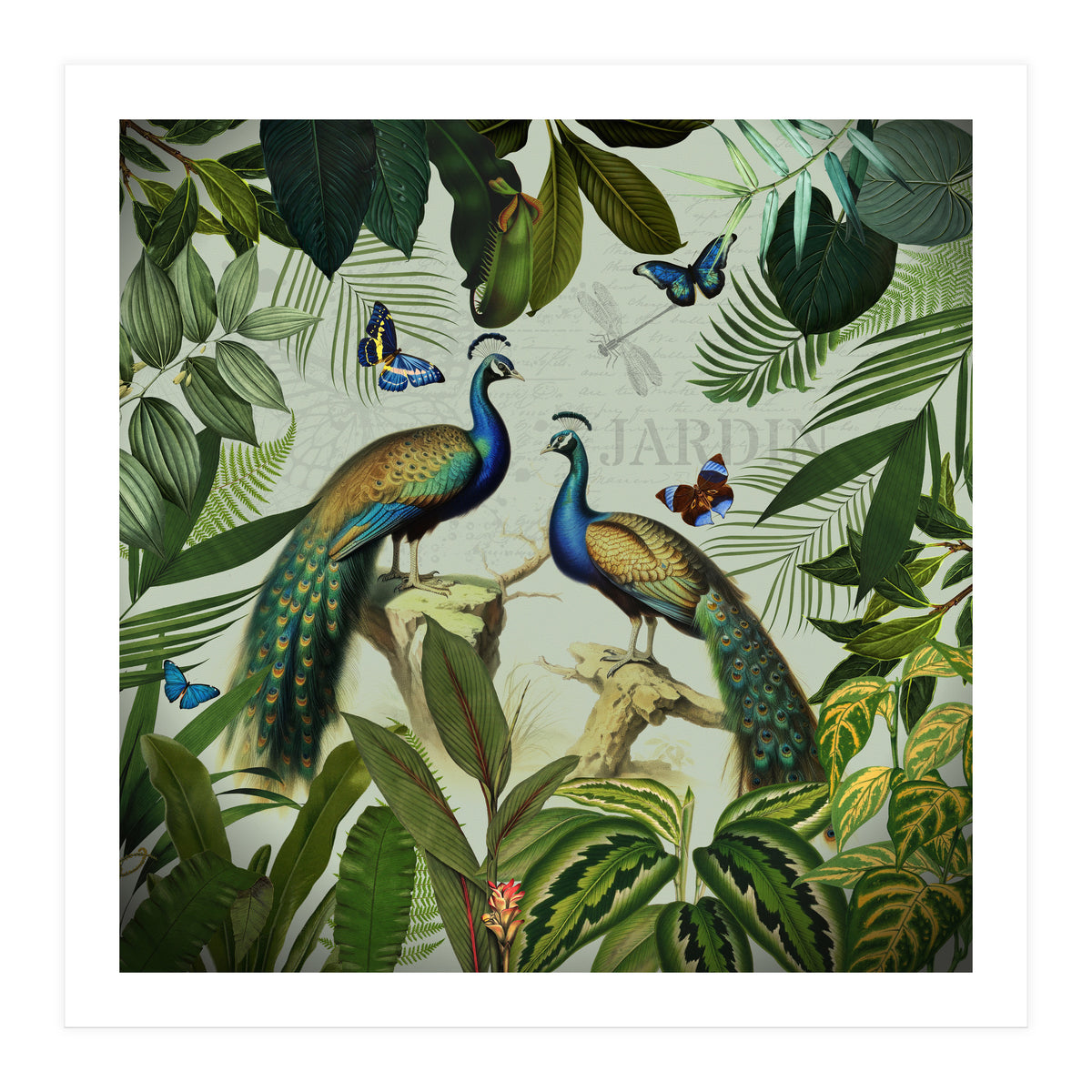 Vintage Exotic Asian Peacocks In Tropical Jungle Landscape (Print Only)