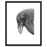Huginn thumbnail
