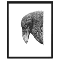 Huginn