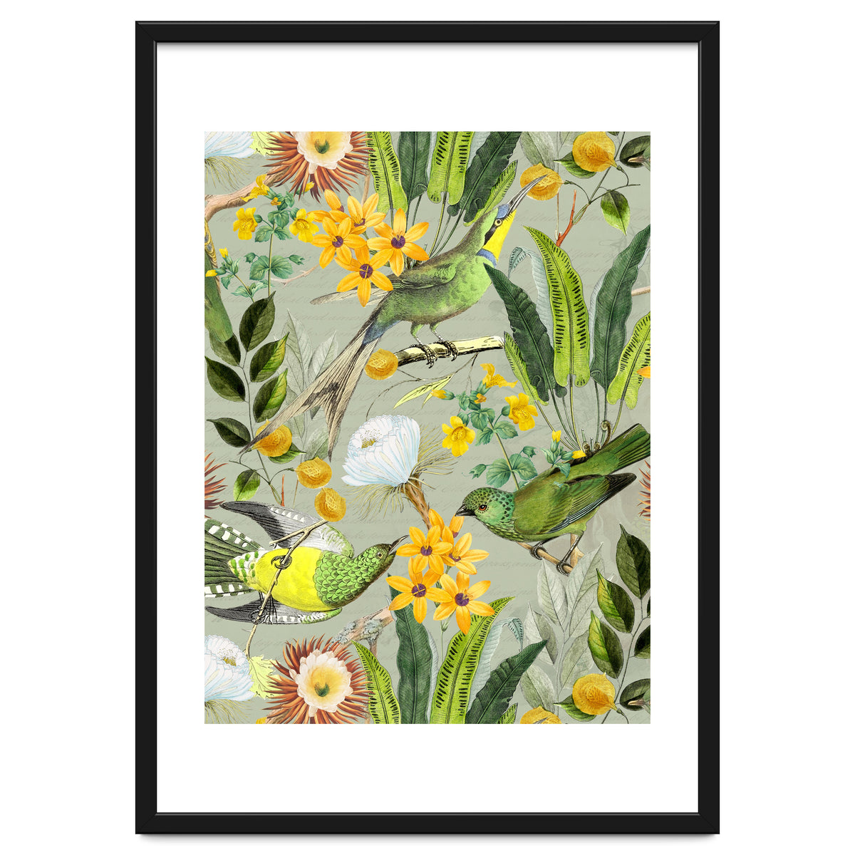 Tropical Birds in Exotic Jungle