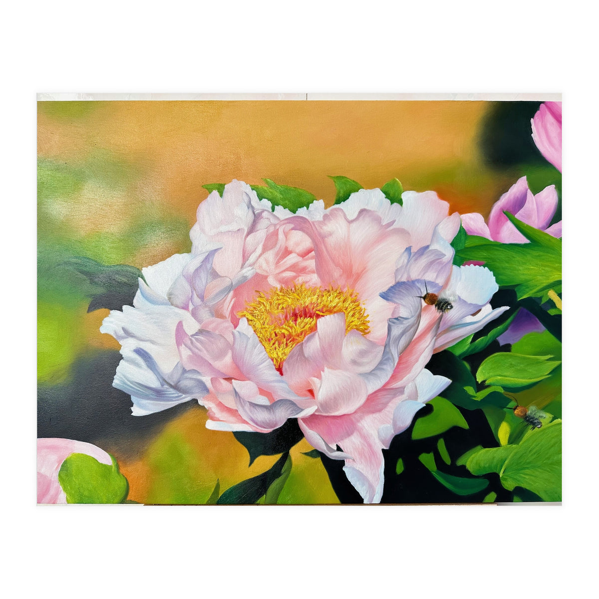 peony (Print Only)