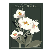 Flower Market London Hellebore (Print Only)