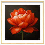 Double Lotus | Scarlet Solace thumbnail