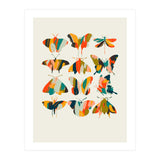 Colorful Butterflies (Print Only) thumbnail