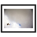 The Little Prince thumbnail
