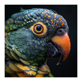 Close Up Of A Colorful Parrot's Face (Print Only) thumbnail