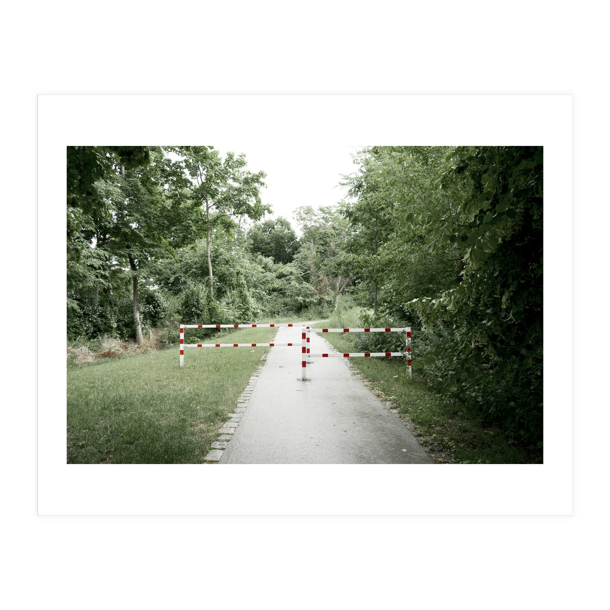 Entrance to the green park (Print Only)