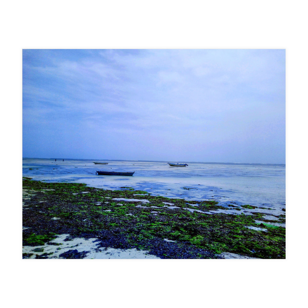 Ocean Beach At Low Tide (Print Only)