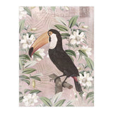 Exotic Bird Toucan (Print Only) thumbnail