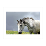 White Horse (Print Only) thumbnail