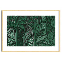 Noctiverdis magnifolia arcana tropical green