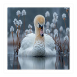 Swan Floating Serene On Calm Water (Print Only) thumbnail