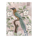 Exotic Bird (Print Only) thumbnail