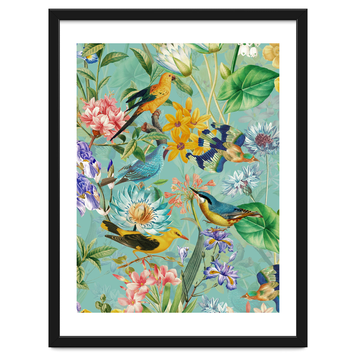 Birds In Tropical Jungle