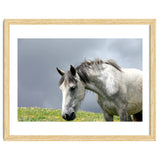 White Horse thumbnail
