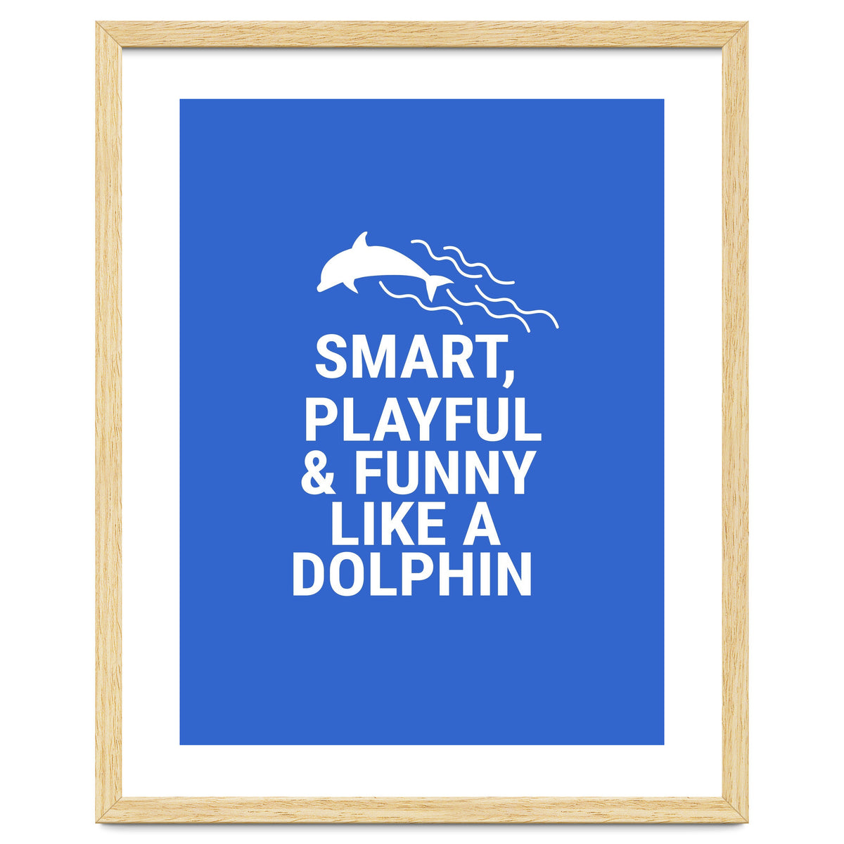 Smart, playful and funny like a dolphin