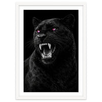 Black leopard with colorful eyes portrait