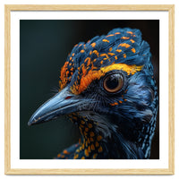 Close Up Of A Colorful Bird Head And Eye