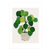 Pilea Plant (Print Only)