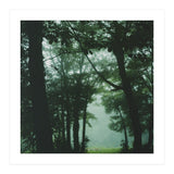 Silence of breath - 13 (Print Only) thumbnail