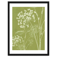 Wildflowers III