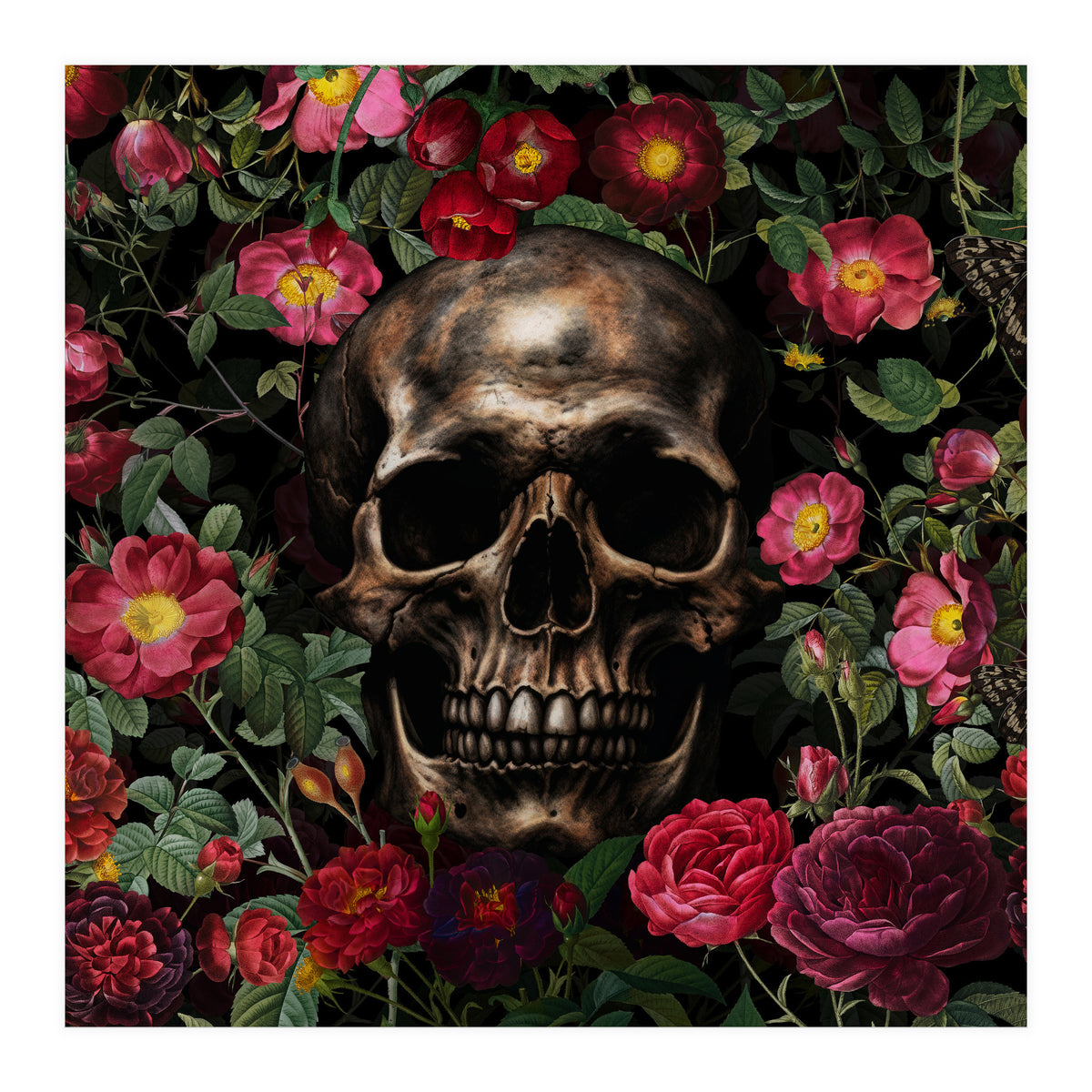 Baroque  Skull And Roses Night Garden 1 (Print Only)