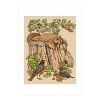 Splootingcolor (Print Only)