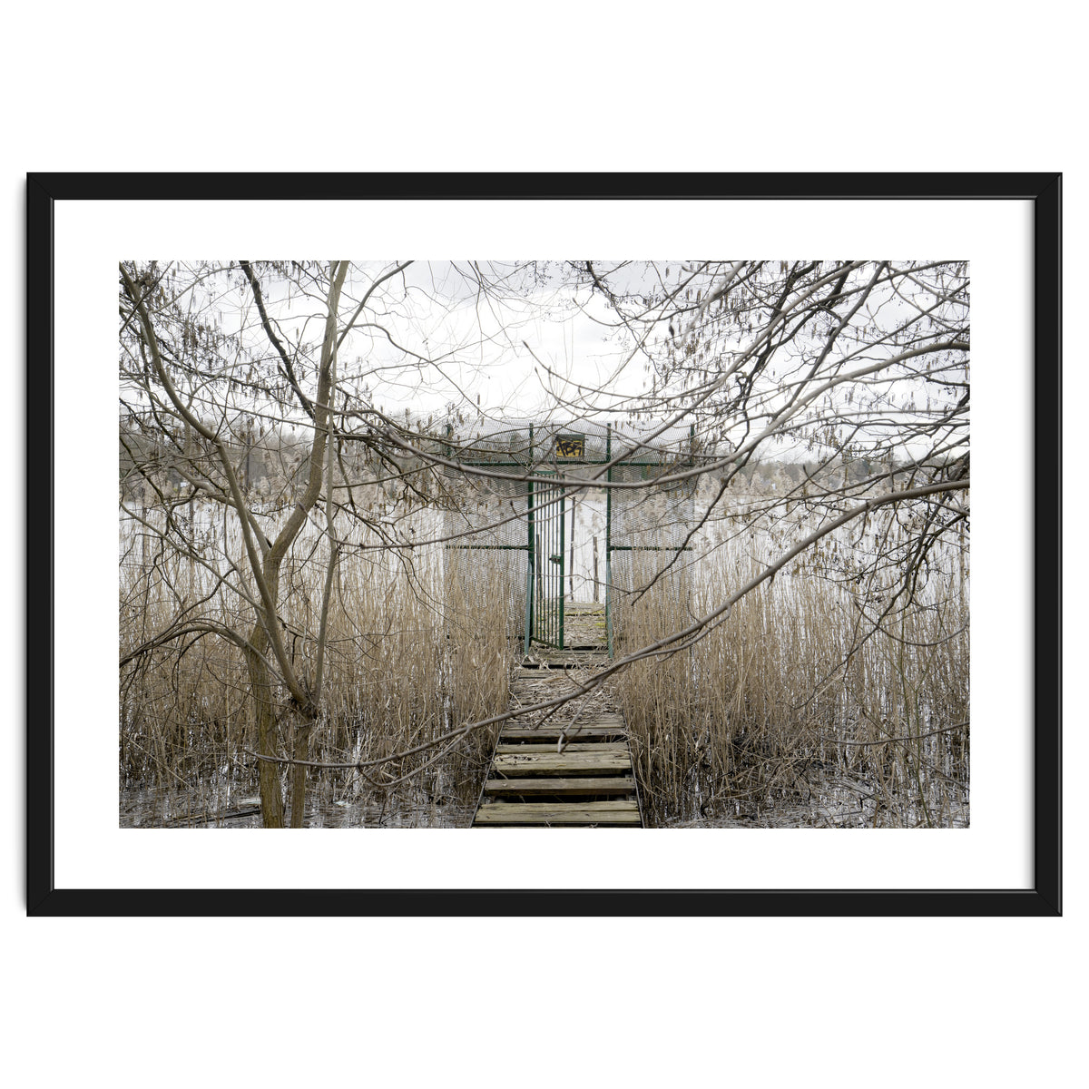 The gate to the lake