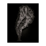 Leaves No 9 (Print Only) thumbnail
