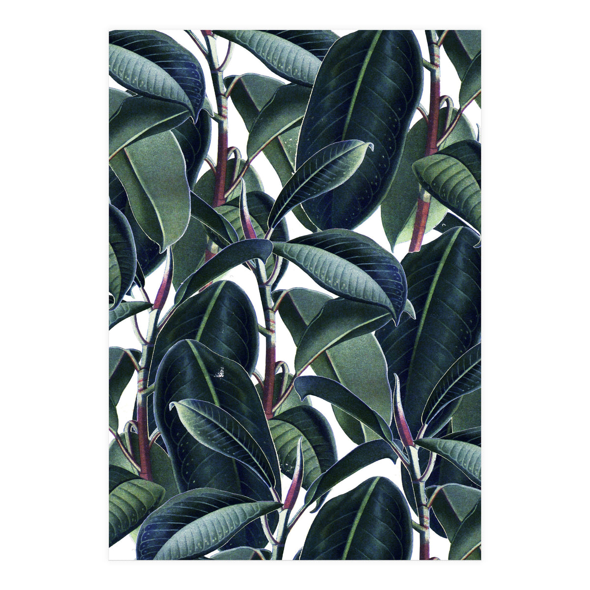 Rubber & Glue #society6 #decor #buyart  (Print Only)